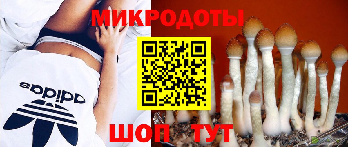 Дедовск  Галлюциногенные грибы мицелий  Вход с VPN 