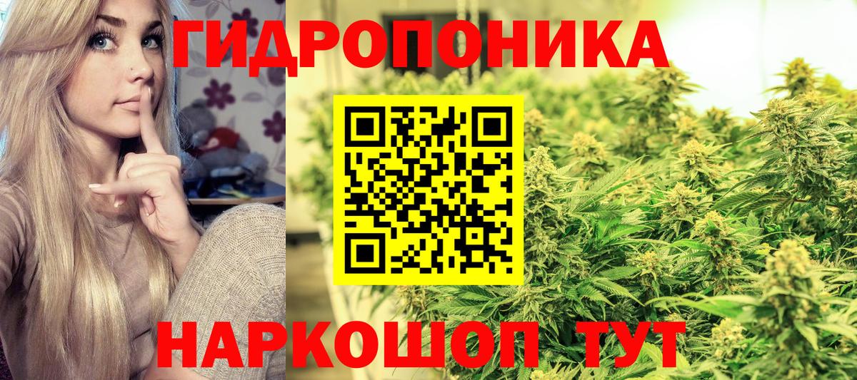 МАРИХУАНА семена Дедовск
